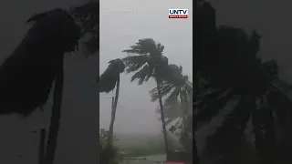 3 napaulat na patay, 4 sugatan sa pananalasa ng bagyong Florita – NDRRMC