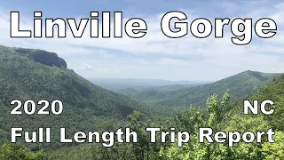 Linville Gorge Wilderness - Pinch-In to Rock Jock Loop - Pisgah NF | 3-day Backpacking Report