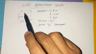 Luas Permukaan Balok Yang Memiliki Panjang 8 cm Lebar 5 cm Tinggi 6 cm