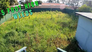 OVERGROWN Long Grass Has NOT Been Mowed In 5 YEARS | Oddly Satisfying Lawn Transformation