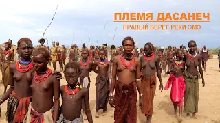 Ethiopia. The Dimi rite of the Dasanech tribe. Племя Дасанеч.  Долина реки Омо.  [Дикая Африка]