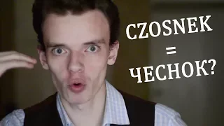 Польские друзья переводчика - СТО ВОПРОСОВ К ЭНЦИКЛОПУ №2