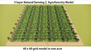 40 X 40 Grid model In 1 Acre plot. || Syntropic Agroforestry ||  3D Animation ||