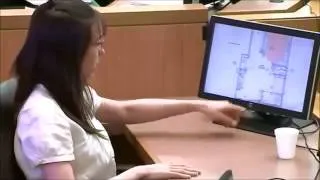 Jodi Arias gunshot sequence