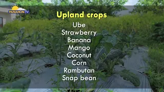 AGRI-KULTURA | Crops in Low and Upland