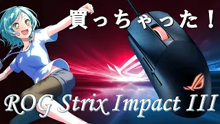 【ASUS ROG】総統閣下はROG STRIX IMPACT Ⅲを買ったようです＋軍艦防波堤おまけ