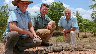 Crocodile expert’s dark secret: How a British zoologist raped and killed dozens of dogs in Australia