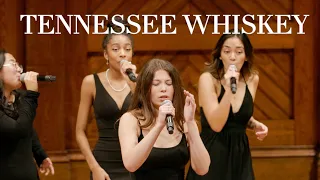 Tennessee Whiskey (opb. Chris Stapleton) | Harvard Veritones A Cappella