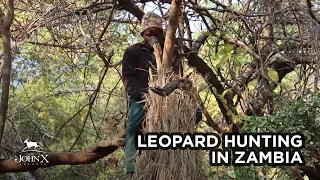 Leopard Hunting in Zambia | John X Safaris