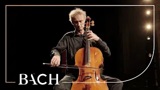 Bach - Cello Suite no. 4 in E-flat major BWV 1010 - Cocset | Netherlands Bach Society