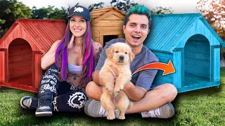 A PRIMEIRA CASA DO CACHORRINHO STEFAN ! - Vida de Maloucos #5