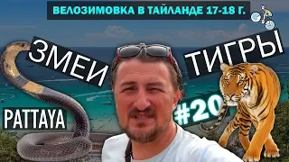 ЗМЕИНАЯ ФЕРМА И TIGER PARK В ПАТТАЙЕ #20 ВЕЛОЗИМОВКА. ТАЙЛАНД