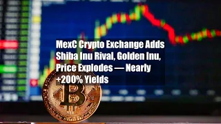 MexC Crypto Exchange Adds Shiba Inu Rival, Golden Inu, Price Explodes
