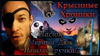 Пасюк | Мирный Дюк. Нашлись ручки! (Микровыпуск) - (Wild Rats)