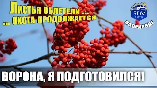 ОХОТА НА РЯБЧИКА / БОЛЬШЕ НИКАКИХ ВОРОН