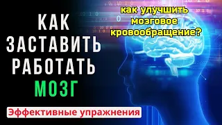 Отзыв на видеокурс "Укрепление нервов и сосудов мозга", 1