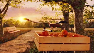 Sunset Apple Picking In The Countryside Ambience ASMR 🍎 Summer Birds, Bike Sounds, Leaf Rustling