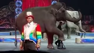 Ringling Brothers and Barnum & Bailey Circus, “Legends”, Elephant Act