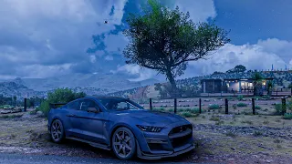 Forza Horizon 5 game play