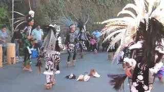 Dia de los Muertos Dancers