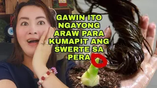 GAWIN ITO NGAYONG ARAW PARA SWERTE SA PERA AY KUMAPIT-APPLE PAGUIO1