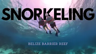 Snorkeling in Belize Barrier Reef