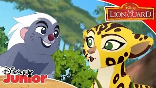 Η Φρουρά των Λιονταριών | Για Πάντα Κολλητοί 😍🎶 | Disney Junior Ελλάδα
