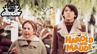 Why We Love ... Harold & Maude