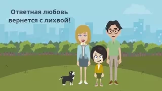 Как помочь бездомным животным