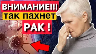 ВАЖНО! Вот ТРИ запаха рака, на которые люди не обращают внимание! Чем пахнет рак…