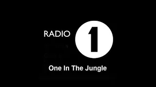 Roni Size - Radio One in the Jungle 07/06/96
