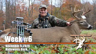 Bow Hunting the Early Rut in New York | Buck with Bow
