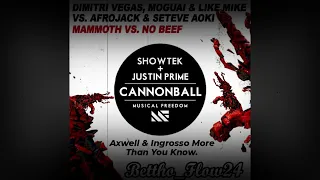D.V. MOGUAI & L.M. Vs Afrojack - Mammoth Vs No Beef (Hardwell Mashup) [BetrouxKi]