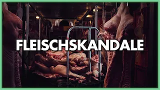 Industrielle Massentierhaltung versus gesunde Ernährung - Fleischskandale und ihre Hintergründe