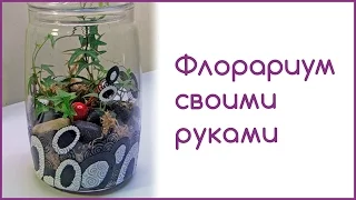 Флорариум своими руками. Сад в стекле.