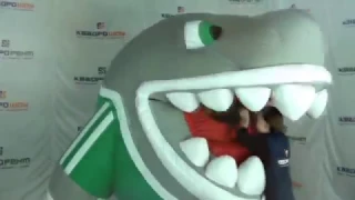 Inflatable Shark Eating