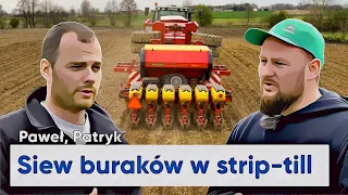 Siew buraków cukrowych w uprawie pasowej #vaderstad #czajkowski | e-pole do popisu #86