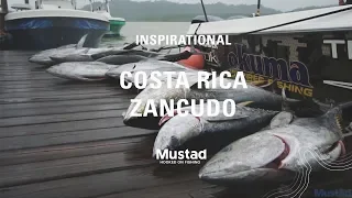 Zancudo Lodge Yellowfin Tuna on bait ball and Rooster Fish on poppers