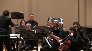 Dvořák Symphony 9 (New World), Movement I - arr. Brian Holmes - Concert Orchestra