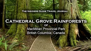 Cathedral Grove Rainforests on Vancouver Island HD