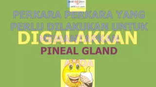 Cara Untuk Memantapkan Pineal Gland Anda