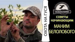 НА ГУСЯ   МАНКИ ДОМИНАТОР И ДЖОКЕР ))))