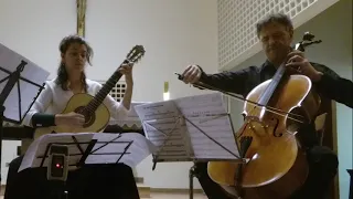 C. Saint-Saëns: The swan - Cello and Guitar