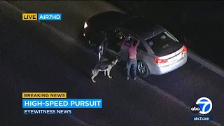 Suspect in custody after Ventura County chase; dog refused to leave side