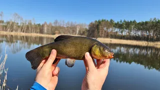 POŁOWIONE! LEKKI SPŁAWIK  NA PZW Z GRADEM :D