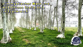 Falter-Vanlife - Episode 21 - Ein mystischer Wald und kostenlose Stellplätze in Frankreich