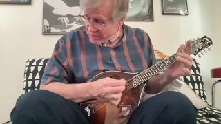 Rights of Man on 2017 Collings MT2 Mandolin - Dan Brooks