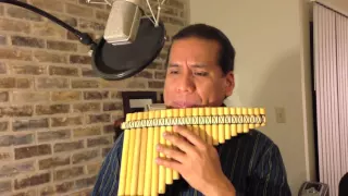 Abba - The Winner Takes it All - Panflute - Eduardo Garcia