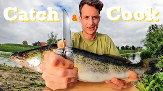 How to Catch, FILLET & Cook a Zander / Walleye