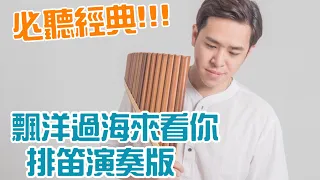 華語經典金曲 / 李宗盛《 漂洋過海來看你 》排笛/排簫 ( Pan Flute / Panpipe / 팬플룻 / パンフルー) 演奏版 Cover By 李濬廷 David Tin